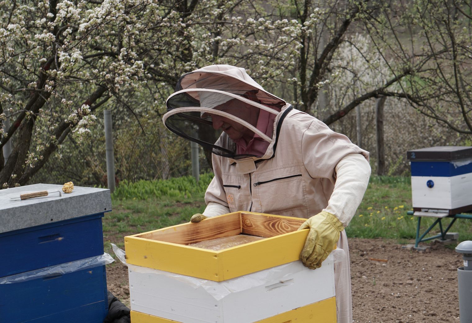 South Hetton — professional movers carrying furniture on a house move