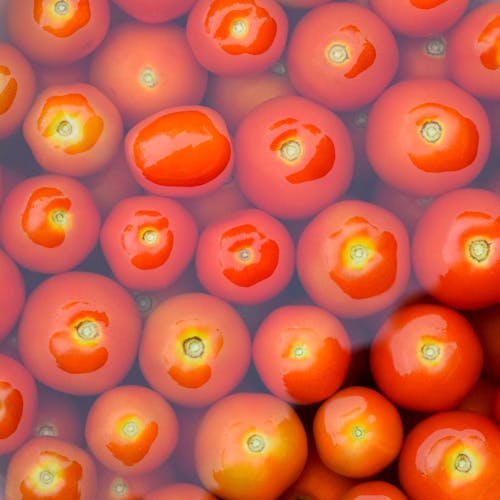 Pile of bright fresh tomatoes behind glass