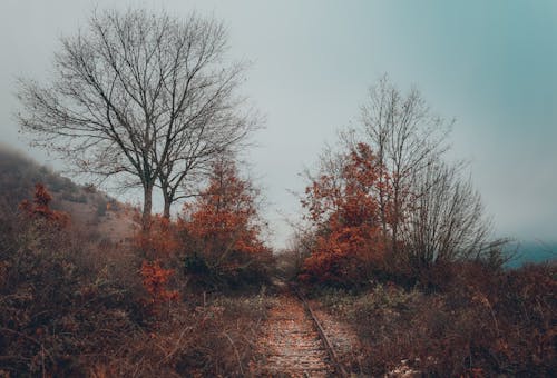 Fotobanka s bezplatnými fotkami na tému dedinský, jeseň, koľaj