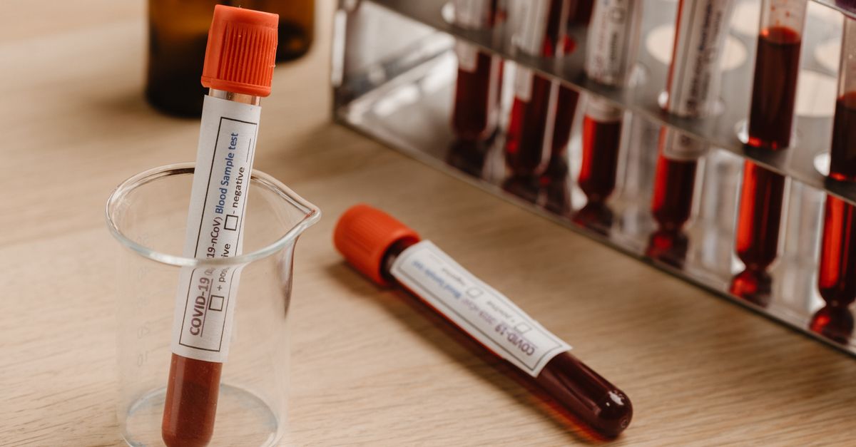 Molbio Diagnostics Reports Rs 52.7 Crore Profit in First Quarter Post-IPO