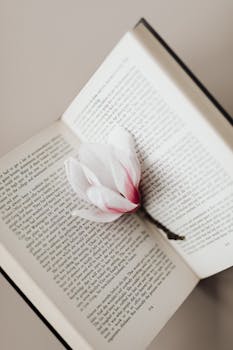 一朵白花停在一本打开的书上，象征着和平与文学