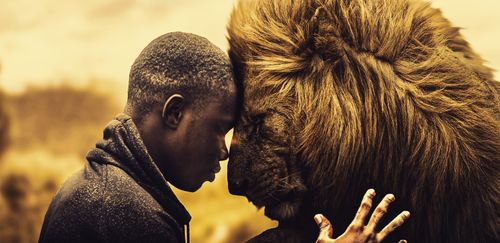 Free stock photo of african man, cameroonman, photoshop Stock Photo