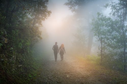 Free A couple walks hand in hand along a foggy forest path, surrounded by nature. Stock Photo