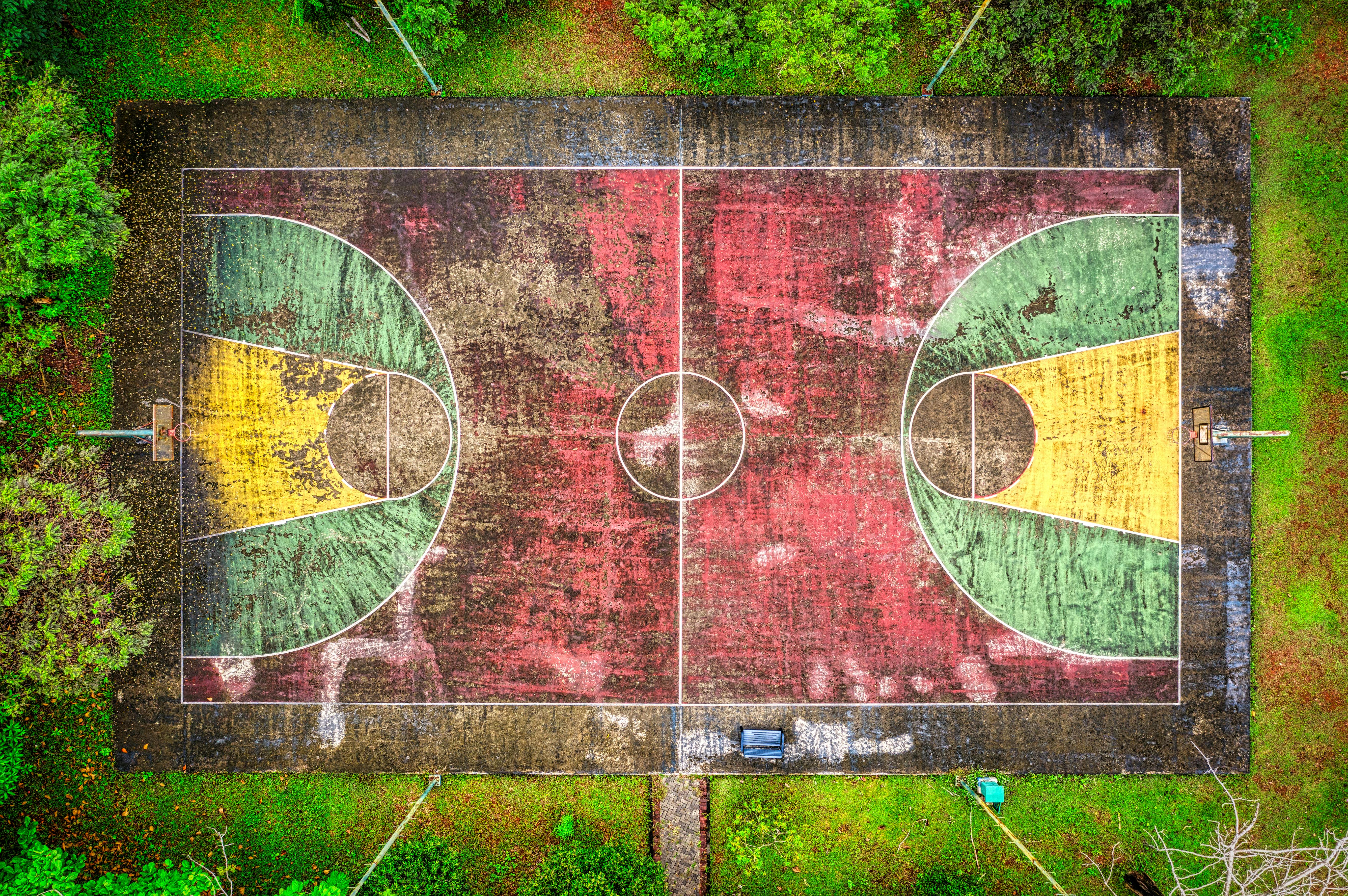 A basketball court in the rainforest photorealistic on Craiyon