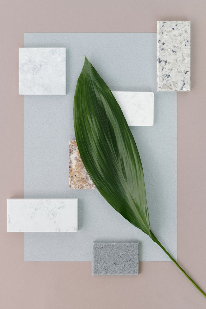 Artistic flat lay featuring a green leaf on marble tiles on a minimalistic background.