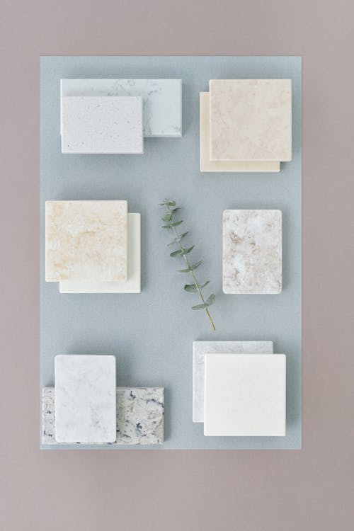 Gratis stockfoto met eucalyptus, eucalyptus tak, flatlay