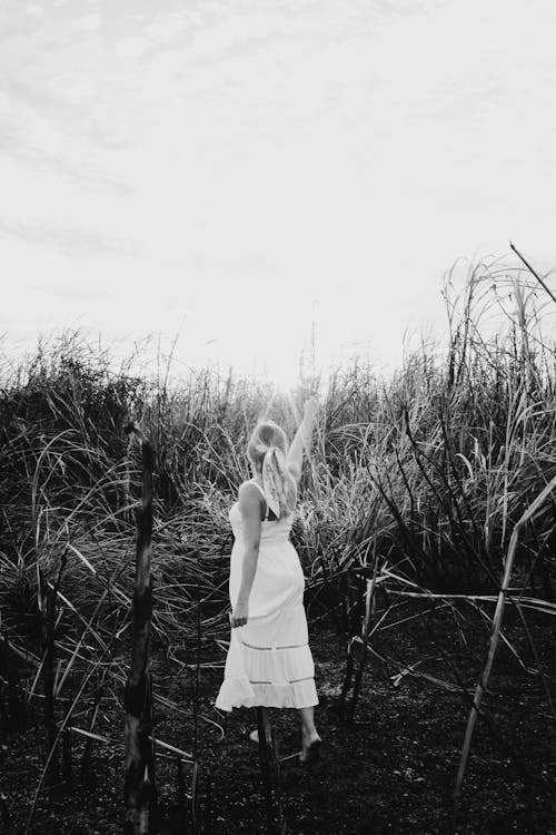 Black and white back view of anonymous full body female in white sundress standing in grassy field in sunny summer day