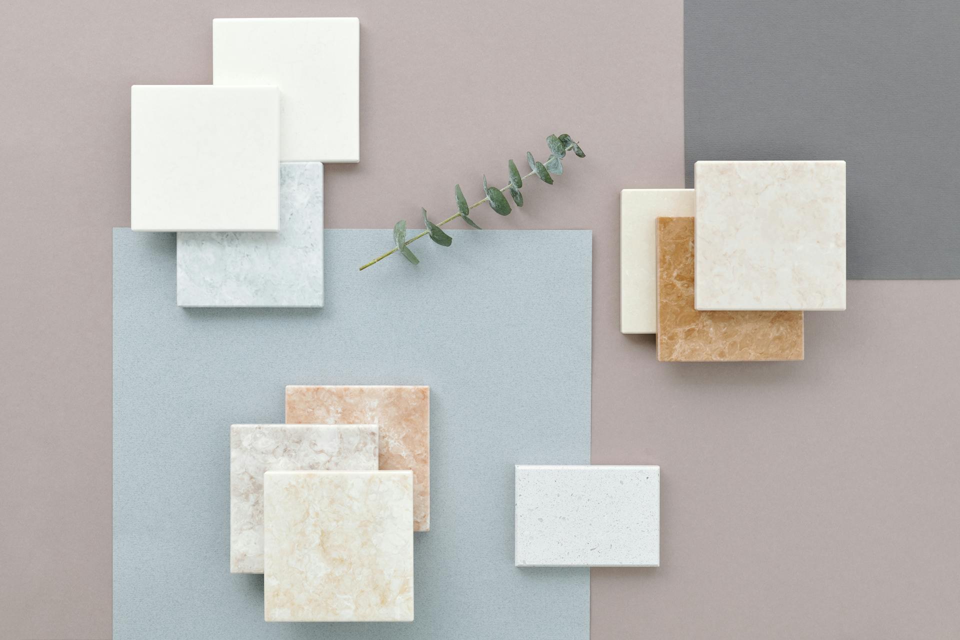 Stylish flat lay showcasing various marble and ceramic tiles on a muted background with a touch of greenery.