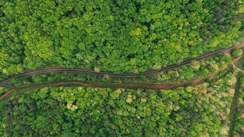 Aerial view of asphalt curvy roadway running amidst abundant forest during clear summer day