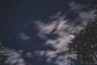 Scenery of night starry sky shining through tree branches
