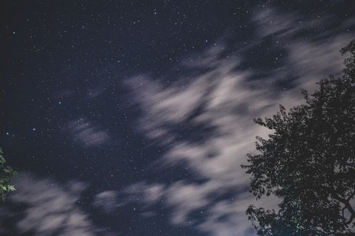 Free Low angle magnificent scenery of cloud running through dark night sky with numerous bright glowing stars against forest trees Stock Photo