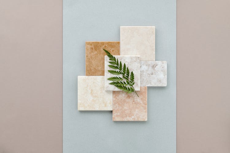 Green Leaves On Marble Tiles