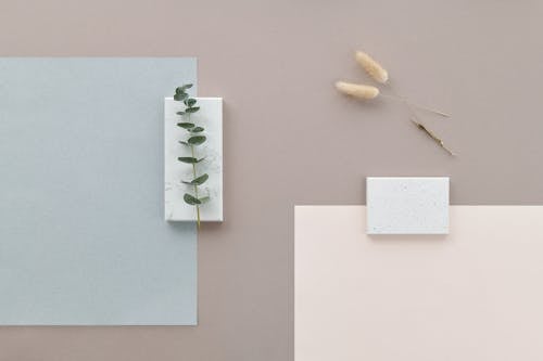 Plants and Marble Stones on a Surface