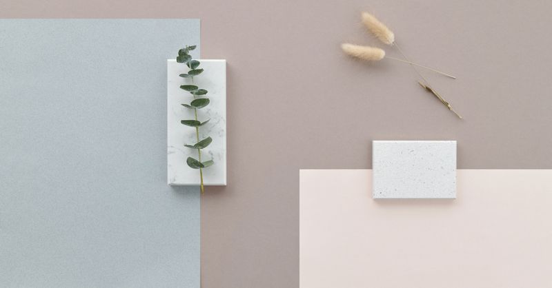 Vert Sauge : Déco Tendance 2026