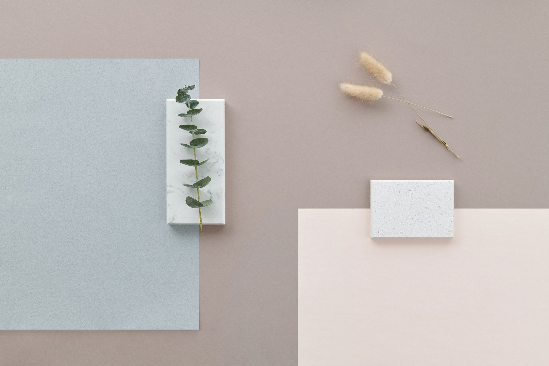 Stylish minimalist flat lay with eucalyptus on marble and neutral tones, perfect for backgrounds.