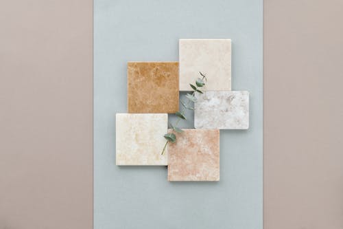 Free Stem of Leaves on Marble Tiles Stock Photo