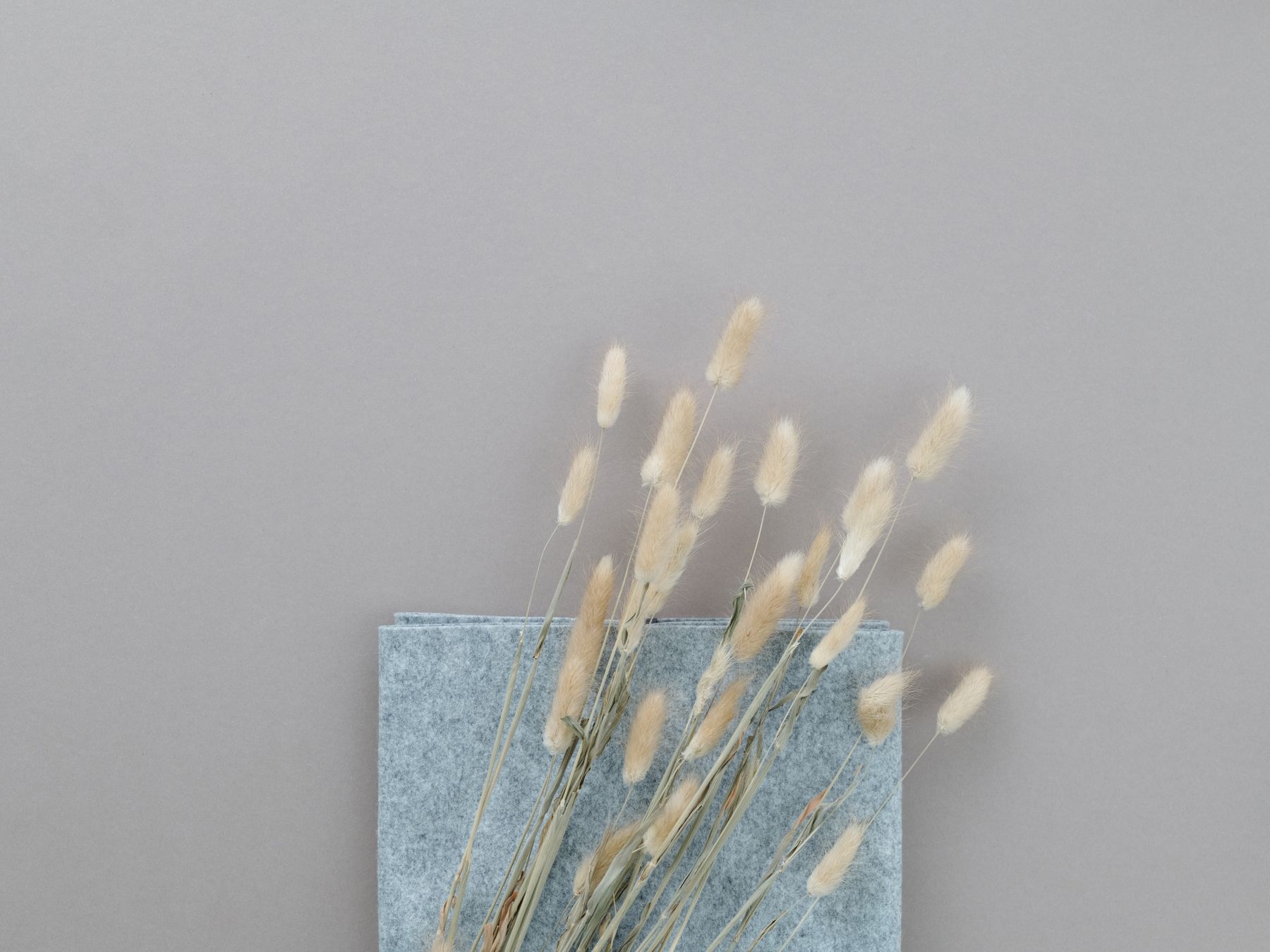 Wallpapering in Bush Hill Park — woodwork brushed to a crisp, smooth line