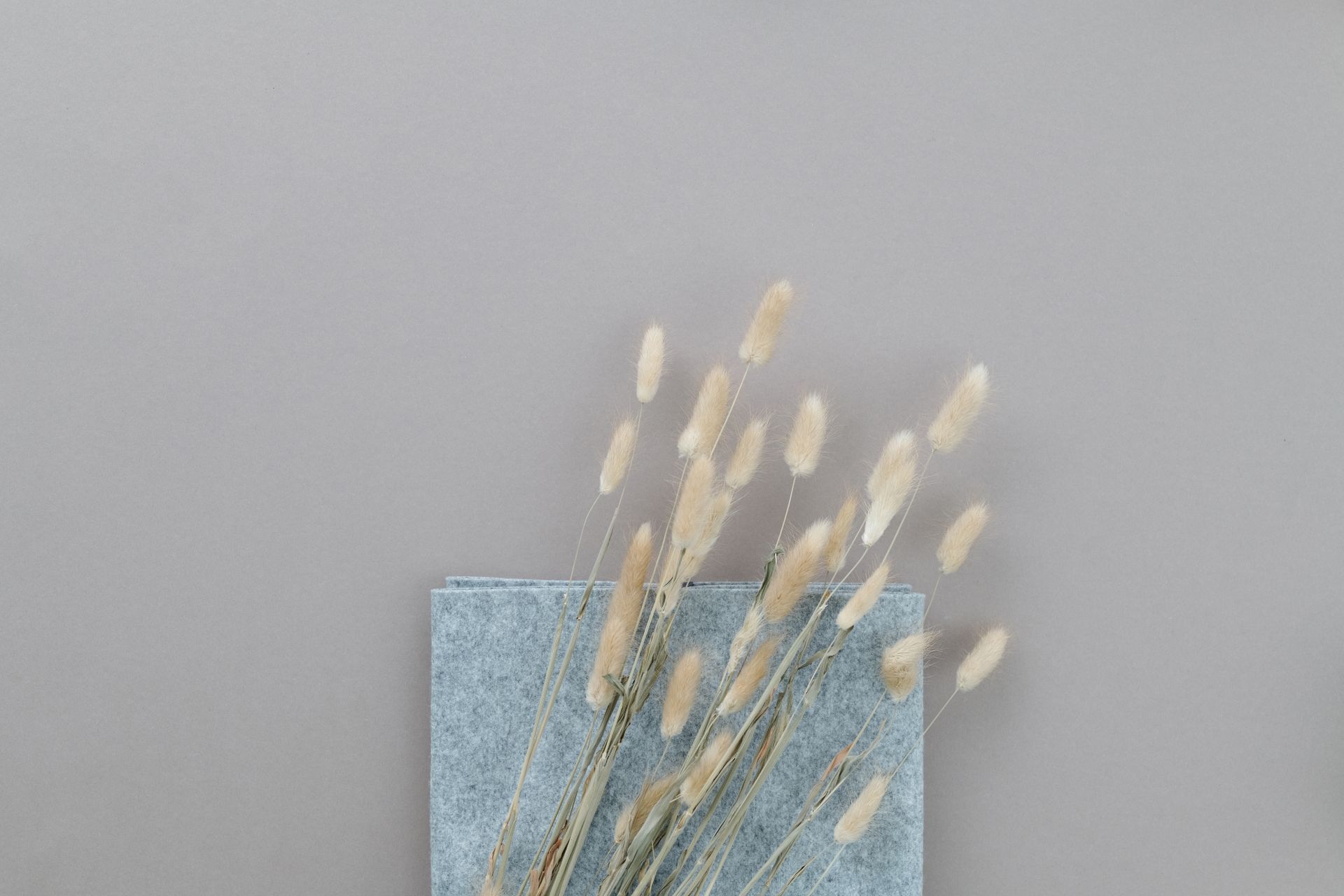Simple minimalist floral arrangement of dry grass on a gray surface, perfect for backgrounds.