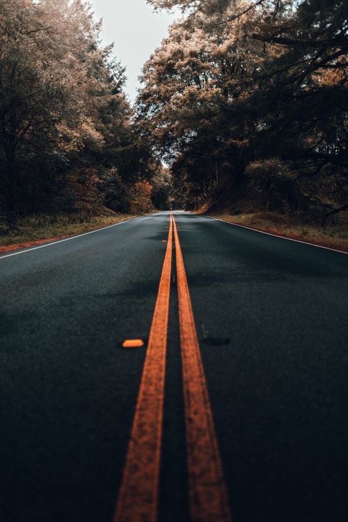 Free Perspective view of empty straight roadway with double continuous unbroken lines running through green summer forest Stock Photo
