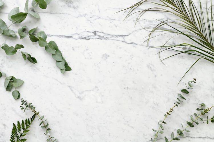 Plants On A Marble Surface