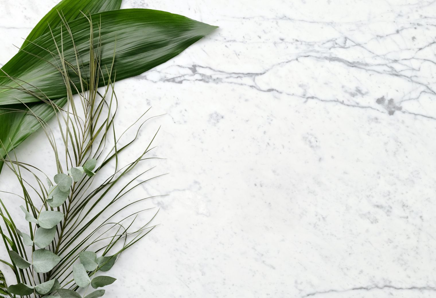 Wallpapering in Euston — a freshly painted, spotless finish