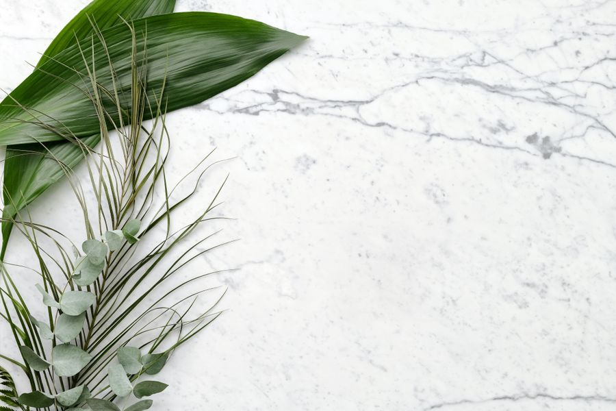 Botanical decor
