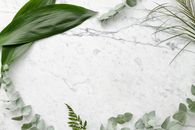 白色大理石背景上，绿叶的俯视图展现了优雅与简约