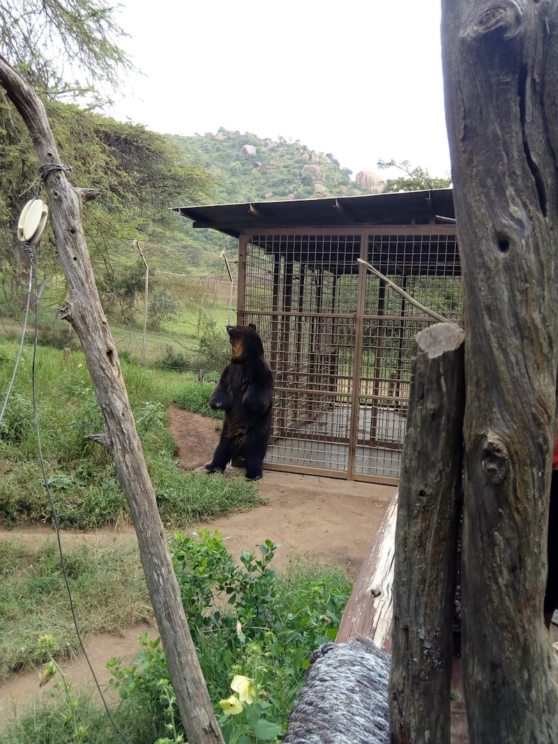 طقم صناديق تخزين قماشية 3