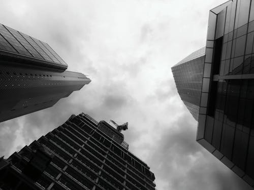 Grayscale Photo of Buildings