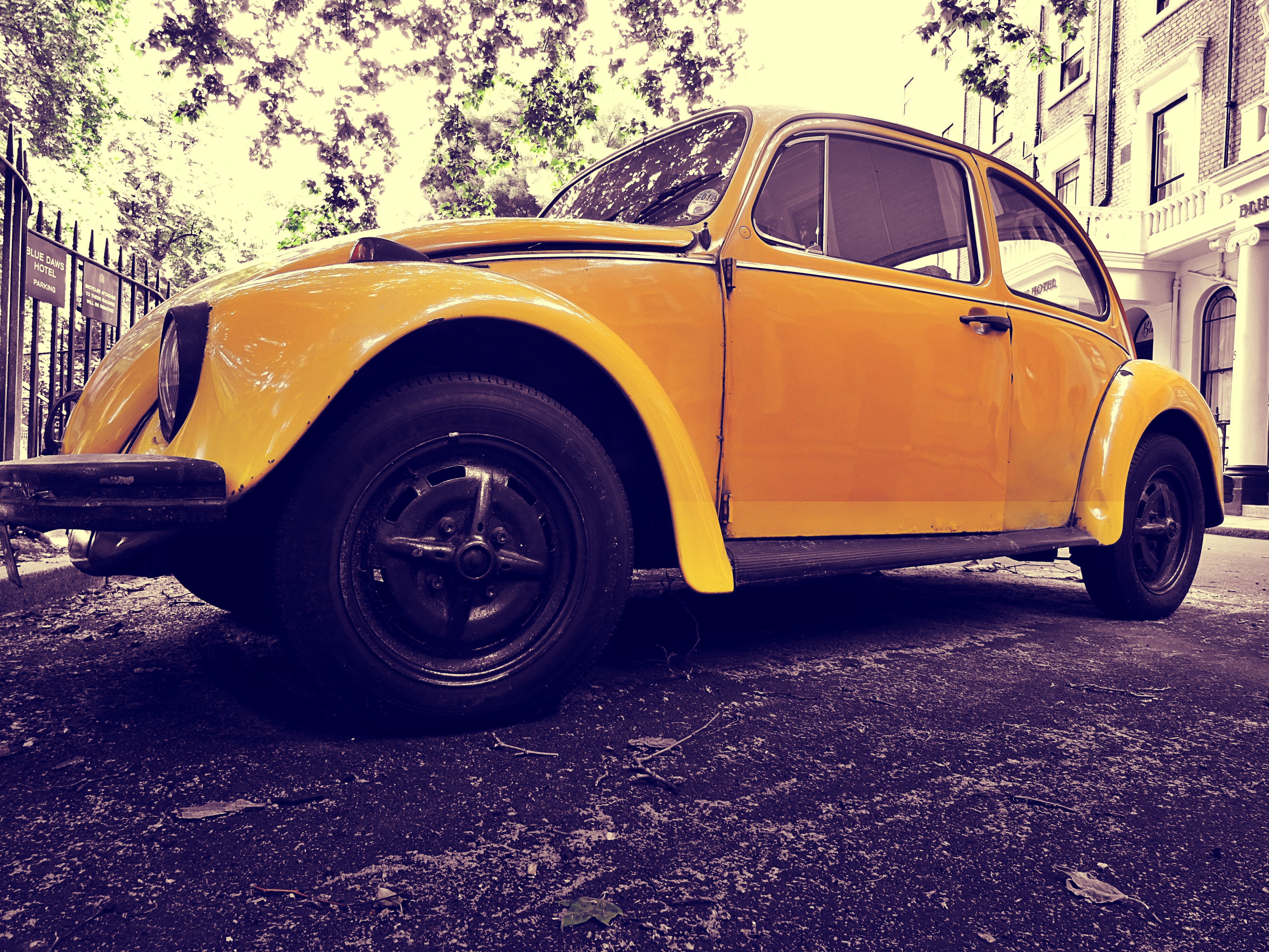 Person Fixing Car · Free Stock Photo