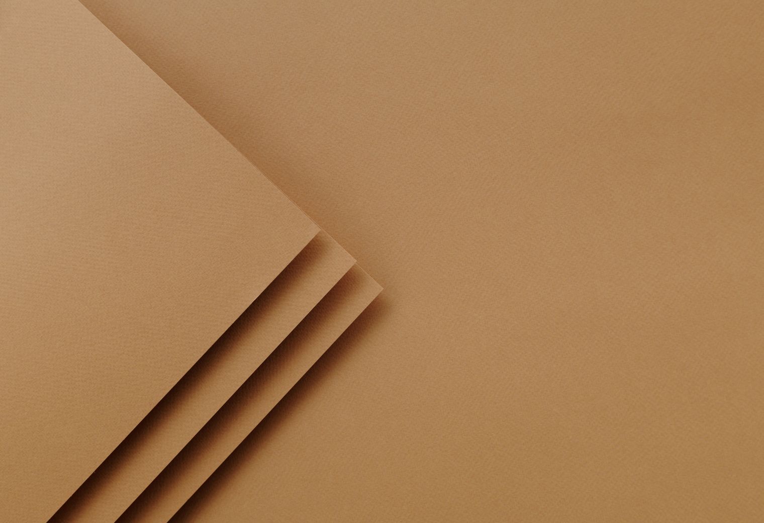 Parkstone — professional packers wrapping and boxing belongings
