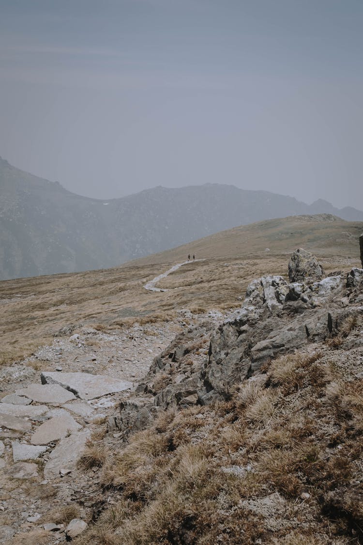 Landscape Scenery Of Kosciuszko National Park In Australia