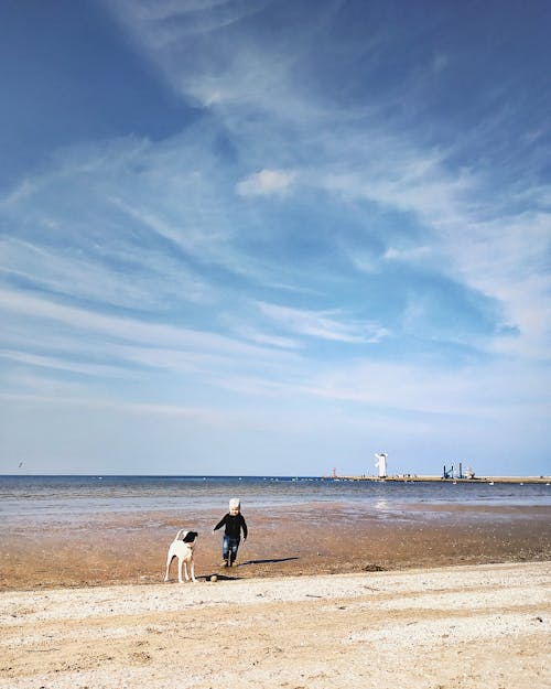 Anonymous toddler playing with dog on beach