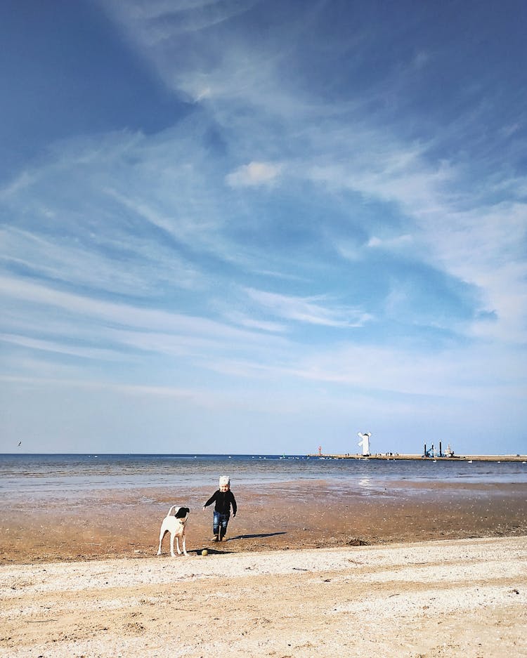 Anonymous Toddler Playing With Dog On Beach