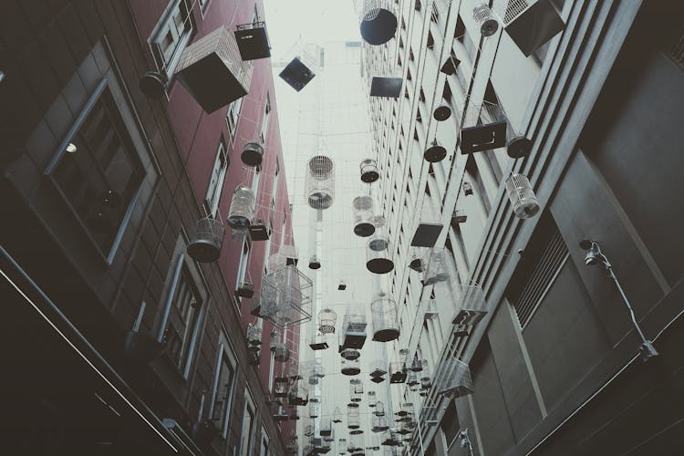 Public Art Installation Of Hanging Empty Birdcages On Street