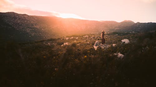 山谷, 岩石, 日落 的 免費圖庫相片