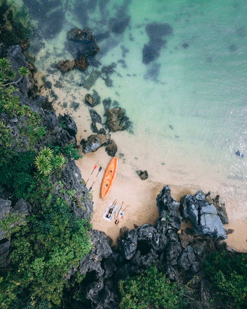 Fotos de stock gratuitas de amantes de la playa, cita, dátil