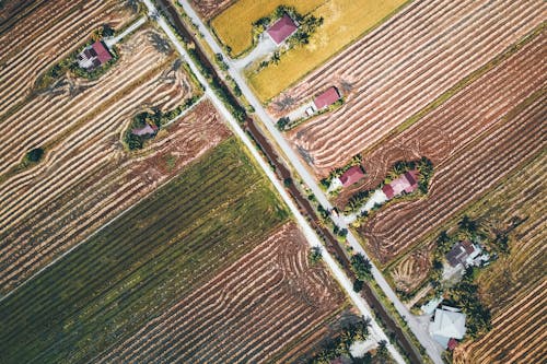 Fotos de stock gratuitas de aéreo, agricultura, agronomía