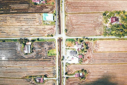 Rural settlement with fields in tropical countryside
