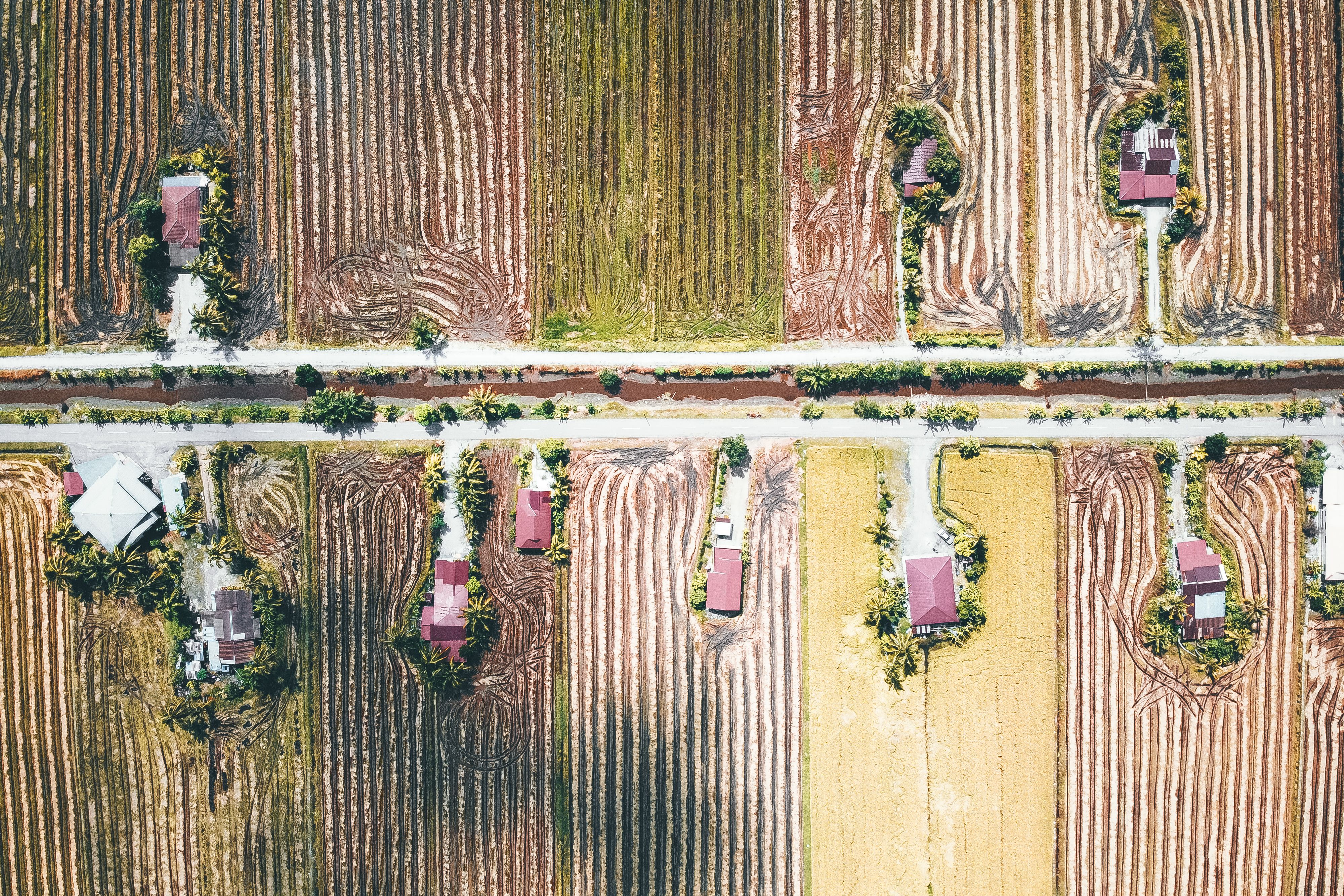 Drone view of red roof of small cottages located on agricultural fields in countryside on sunny day