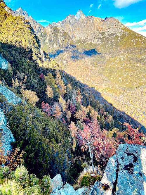 Безкоштовне стокове фото на тему «альпінізм, блакитне небо, вид на ліс»