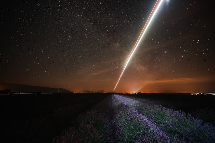 Starry Sky Over Lavender Field