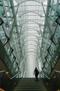 Person under parabolic dome of modern atrium