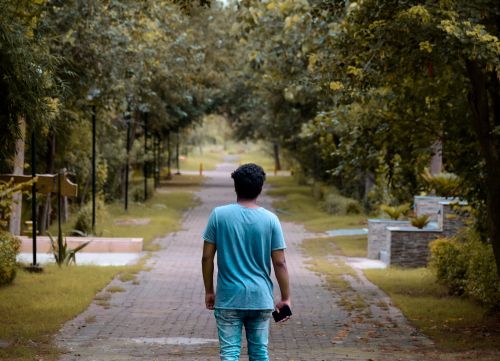 Free Back view of man in blue outfit walking in solitude on paved pathway with tropical vegetation in garden Stock Photo