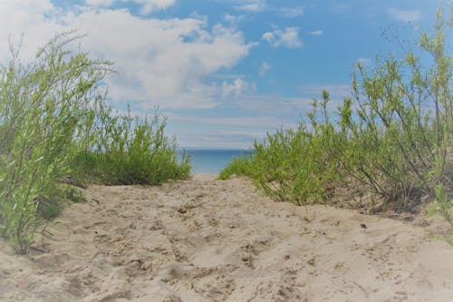 Gratis stockfoto met op het strand