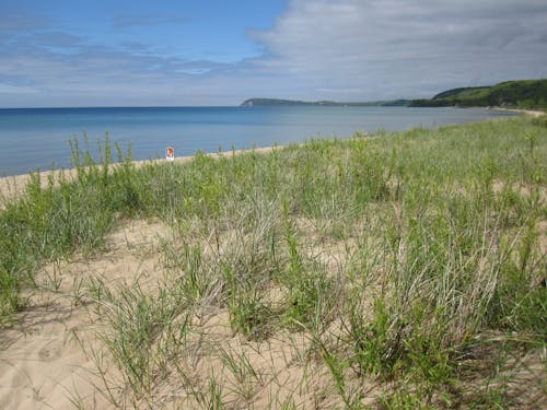 Free stock photo of sand dunes