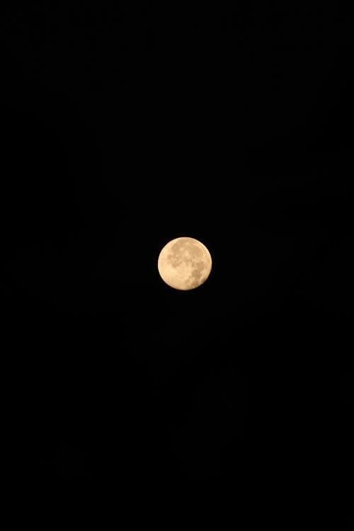 Free Low angle of round shaped moon with spots on shining surface creating contrast with dark sky in twilight Stock Photo