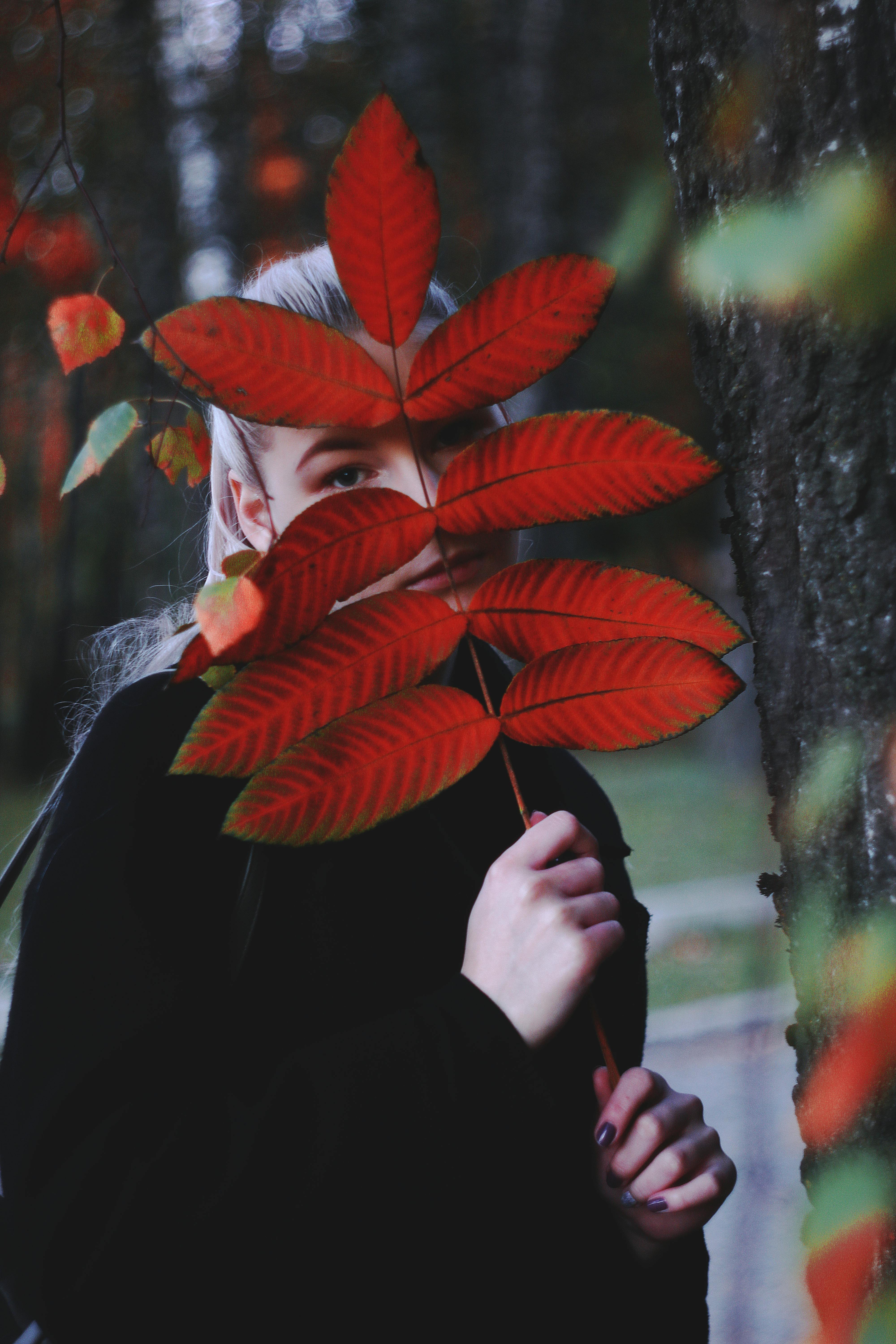 Young melancholic blond female holding big leaf with ornamental veins while standing near tree trunk and looking at camera in fall