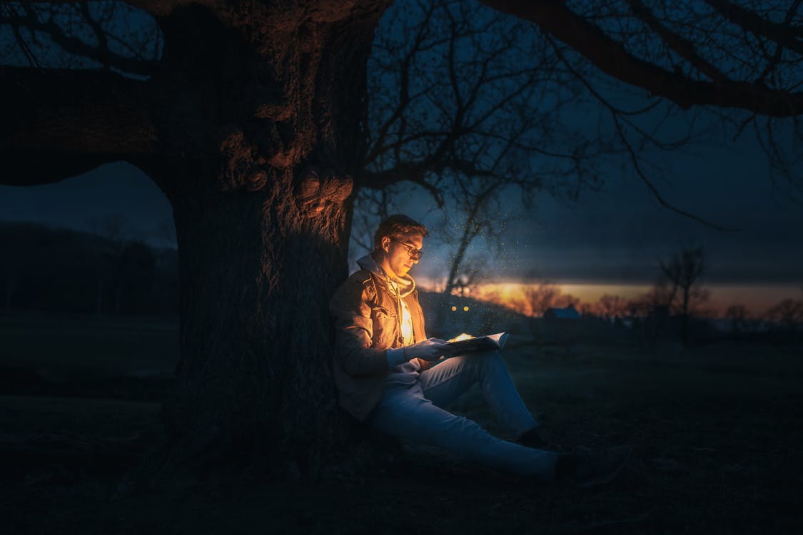 Free Man Sitting Under A Tree Reading A Book during Night Time Stock Photo