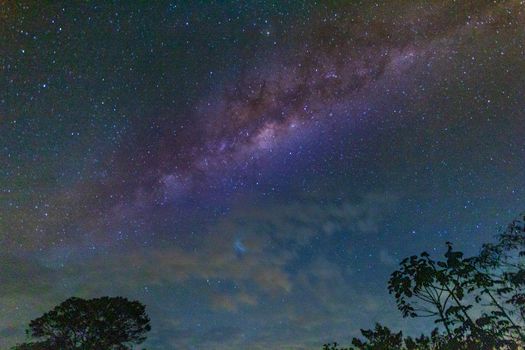 夜空美丽，银河璀璨，树木剪影与星星点缀其间